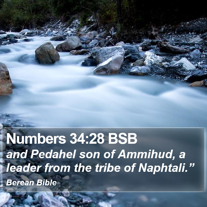 Numbers 34:28 BSB Bible Study