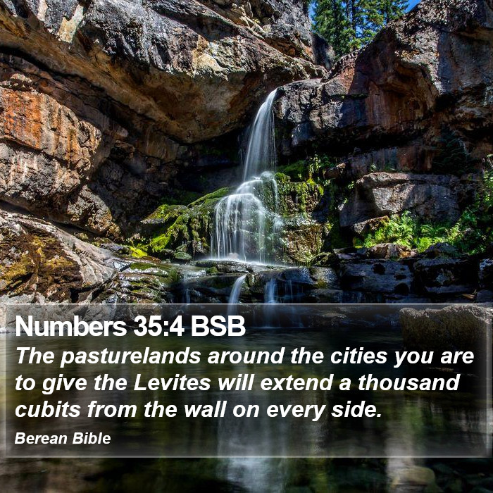 Numbers 35:4 BSB Bible Study