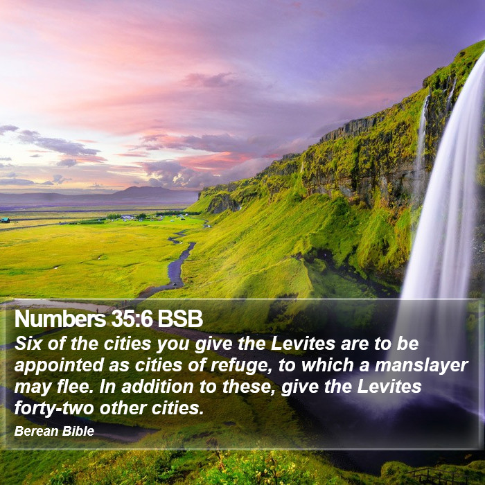 Numbers 35:6 BSB Bible Study