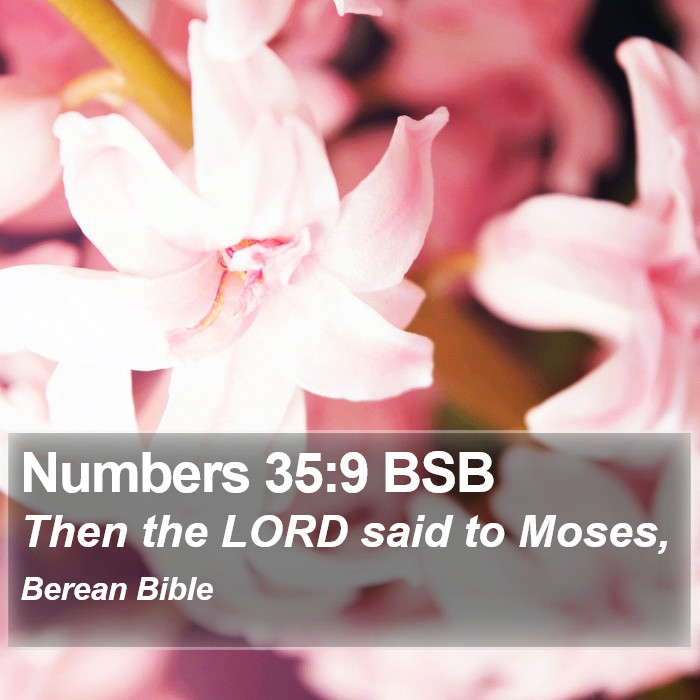 Numbers 35:9 BSB Bible Study