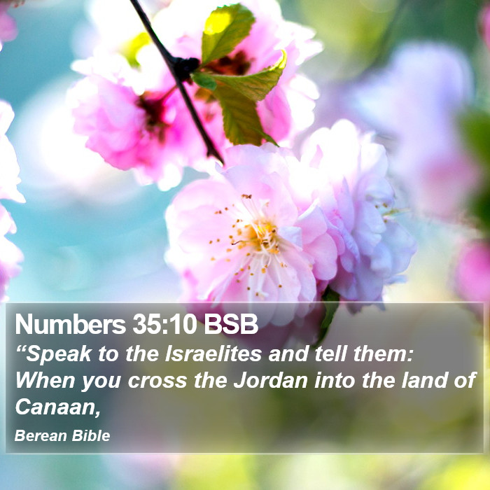 Numbers 35:10 BSB Bible Study