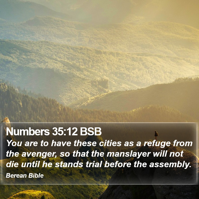 Numbers 35:12 BSB Bible Study