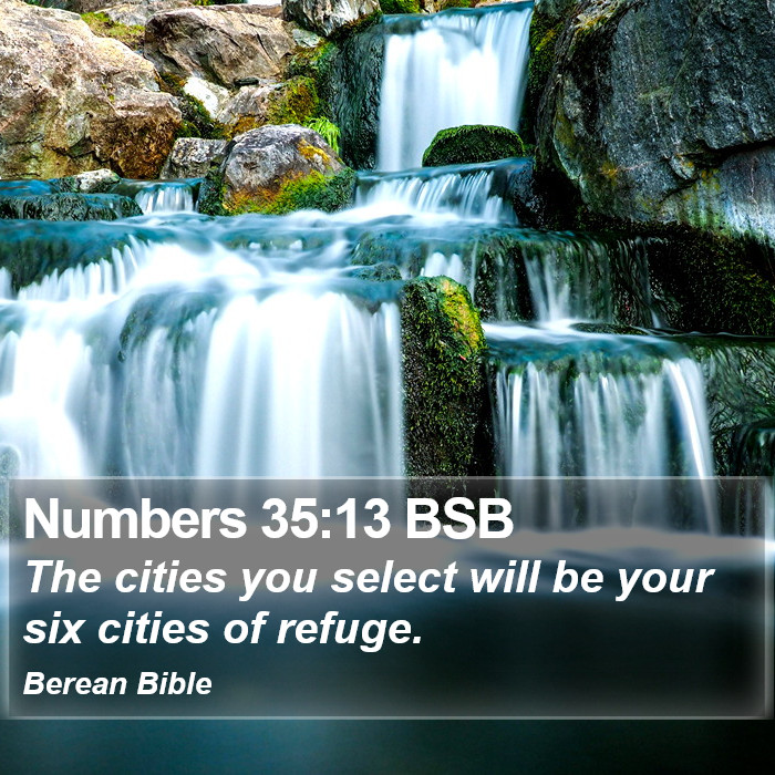 Numbers 35:13 BSB Bible Study