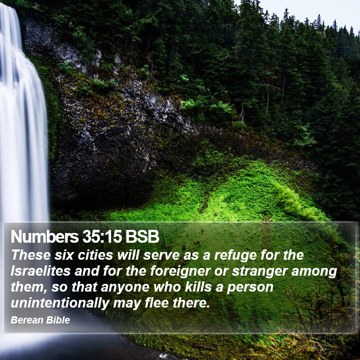 Numbers 35:15 BSB Bible Study