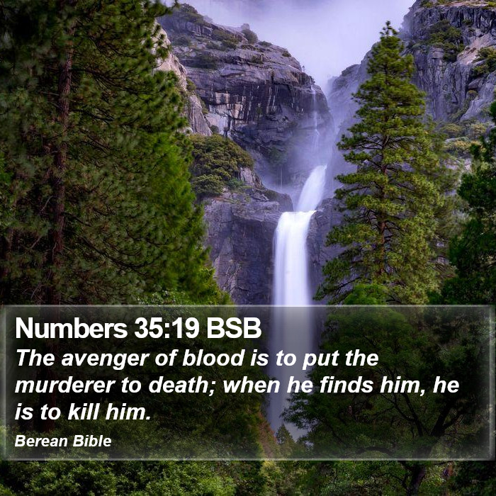 Numbers 35:19 BSB Bible Study