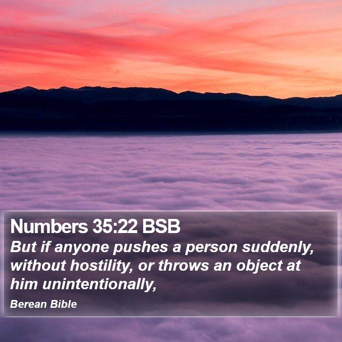 Numbers 35:22 BSB Bible Study