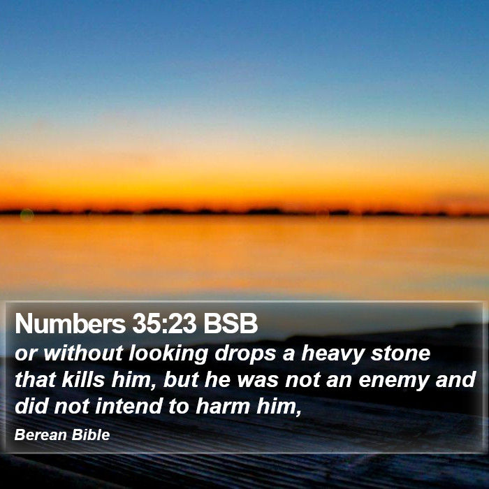 Numbers 35:23 BSB Bible Study