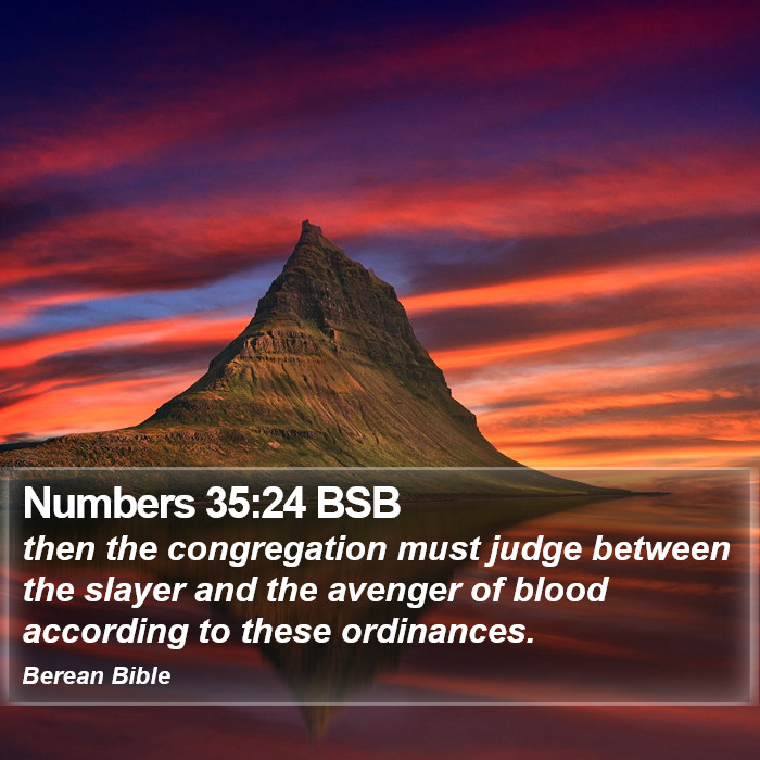 Numbers 35:24 BSB Bible Study