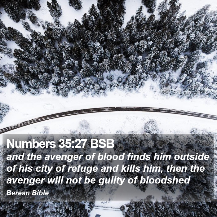 Numbers 35:27 BSB Bible Study