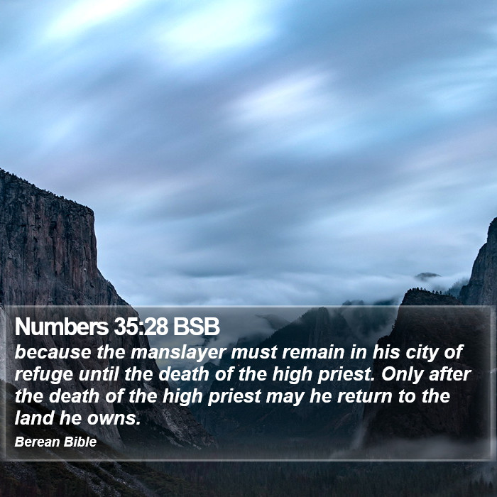 Numbers 35:28 BSB Bible Study