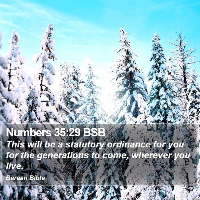 Numbers 35:29 BSB Bible Study