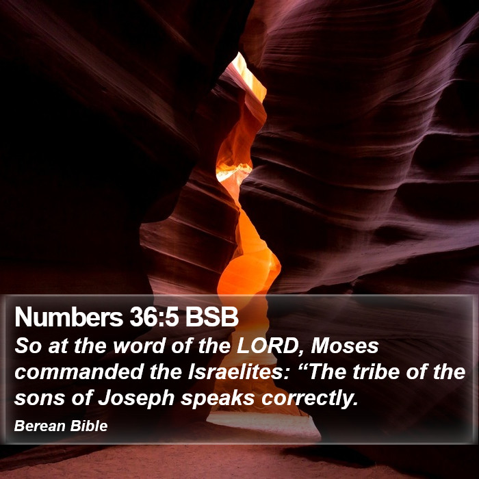 Numbers 36:5 BSB Bible Study