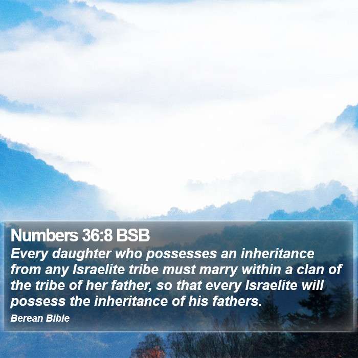 Numbers 36:8 BSB Bible Study