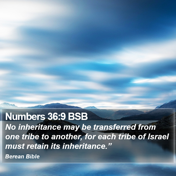 Numbers 36:9 BSB Bible Study