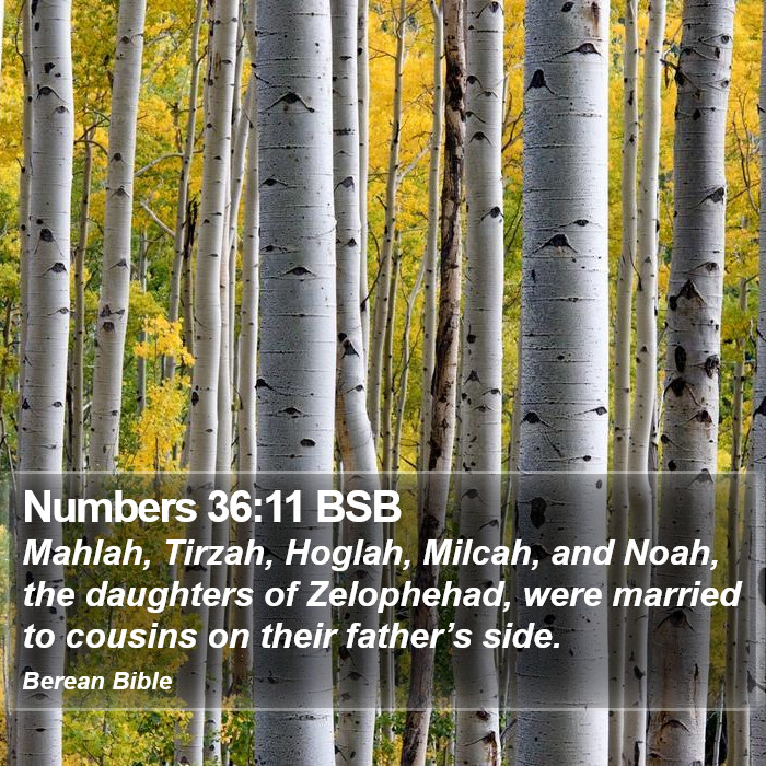 Numbers 36:11 BSB Bible Study