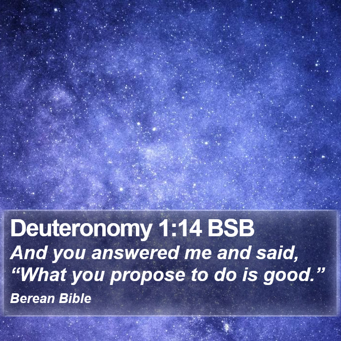 Deuteronomy 1:14 BSB Bible Study