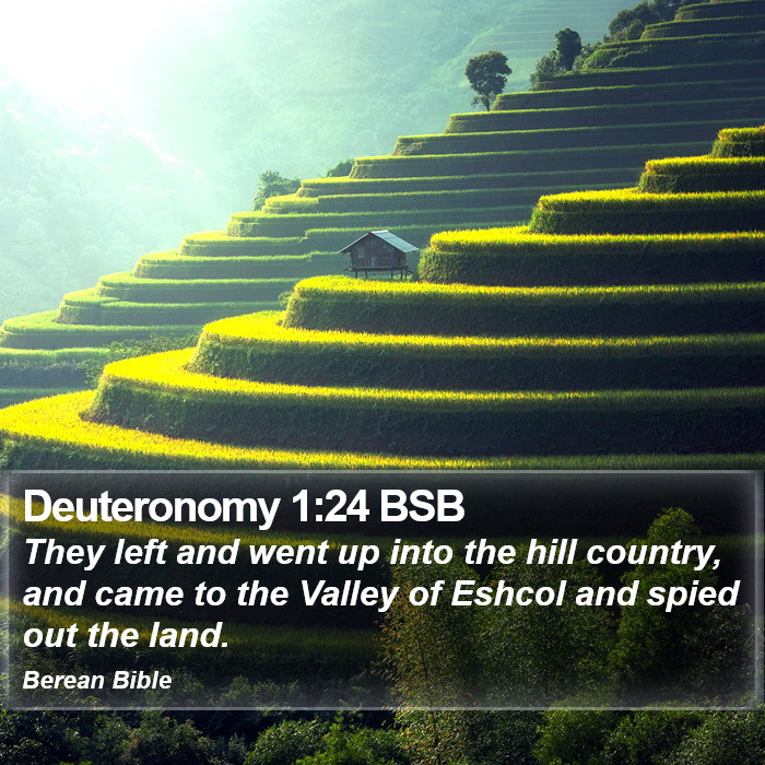 Deuteronomy 1:24 BSB Bible Study