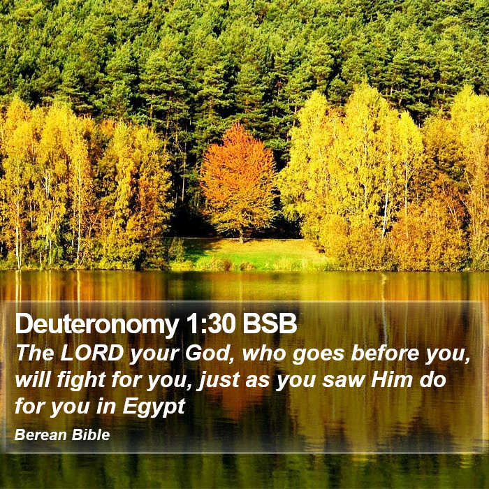 Deuteronomy 1:30 BSB Bible Study