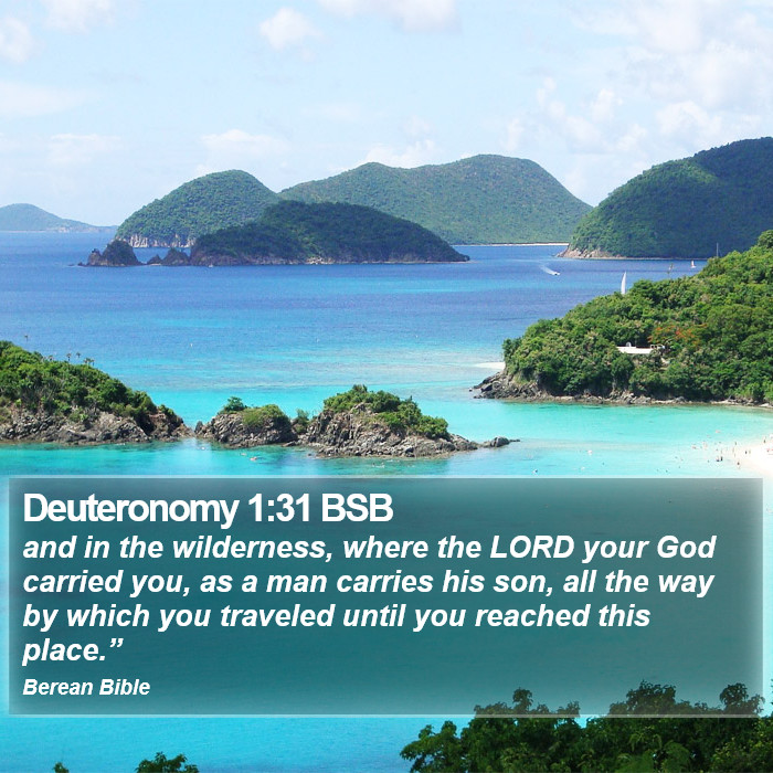 Deuteronomy 1:31 BSB Bible Study