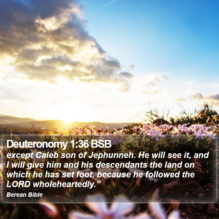 Deuteronomy 1:36 BSB Bible Study