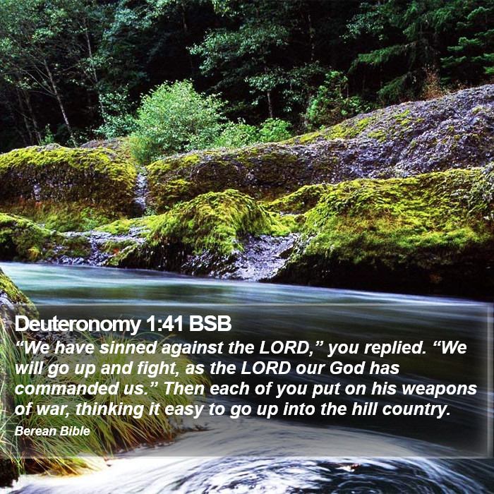 Deuteronomy 1:41 BSB Bible Study