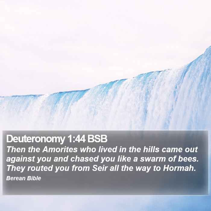 Deuteronomy 1:44 BSB Bible Study