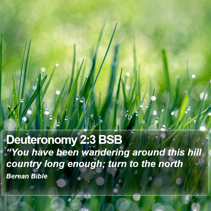 Deuteronomy 2:3 BSB Bible Study