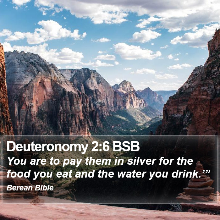 Deuteronomy 2:6 BSB Bible Study