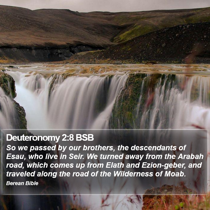 Deuteronomy 2:8 BSB Bible Study