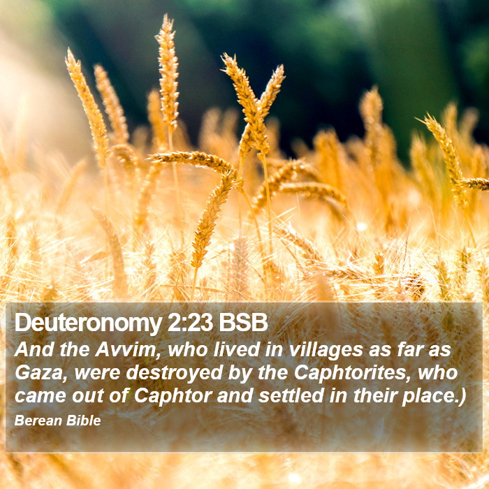 Deuteronomy 2:23 BSB Bible Study