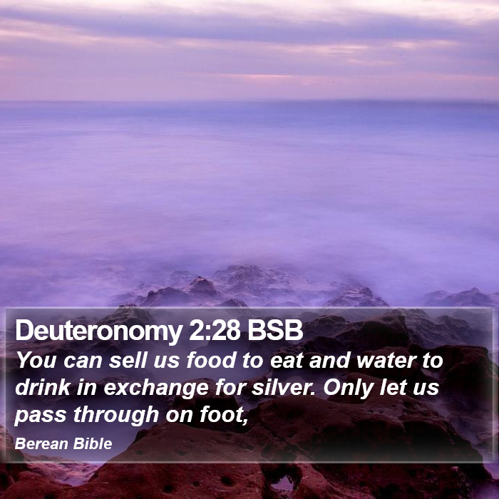 Deuteronomy 2:28 BSB Bible Study