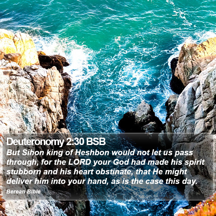 Deuteronomy 2:30 BSB Bible Study