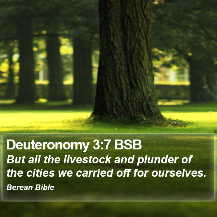 Deuteronomy 3:7 BSB Bible Study