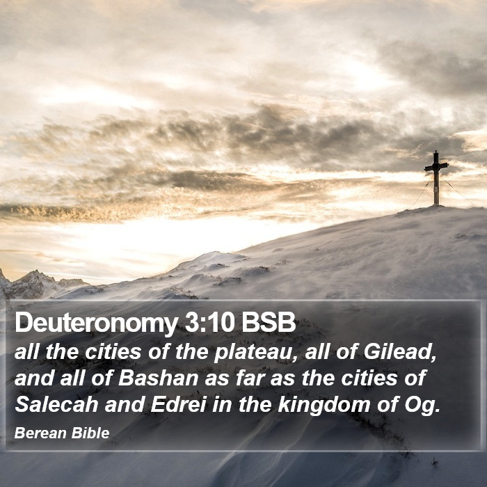 Deuteronomy 3:10 BSB Bible Study