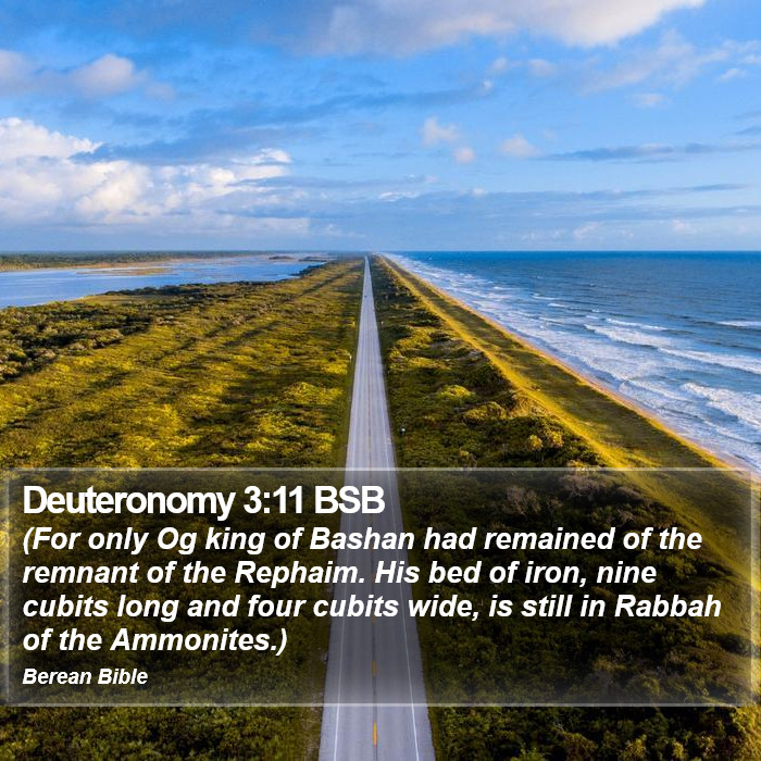 Deuteronomy 3:11 BSB Bible Study