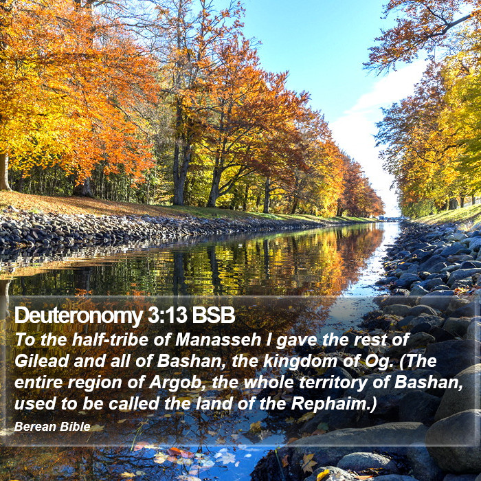 Deuteronomy 3:13 BSB Bible Study