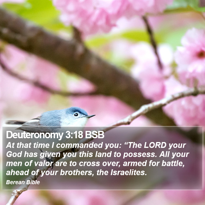 Deuteronomy 3:18 BSB Bible Study