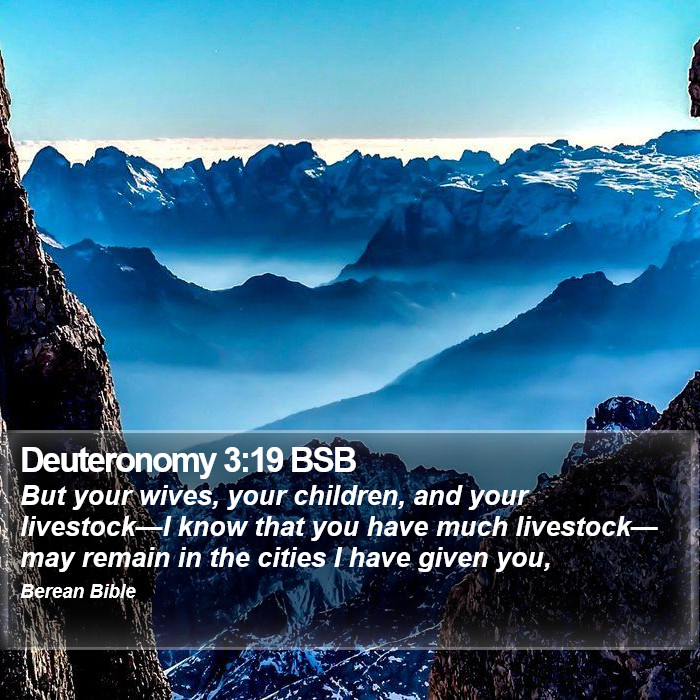 Deuteronomy 3:19 BSB Bible Study