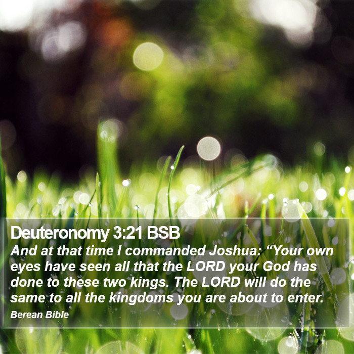 Deuteronomy 3:21 BSB Bible Study