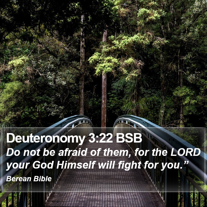 Deuteronomy 3:22 BSB Bible Study