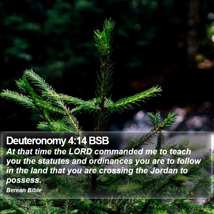 Deuteronomy 4:14 BSB Bible Study