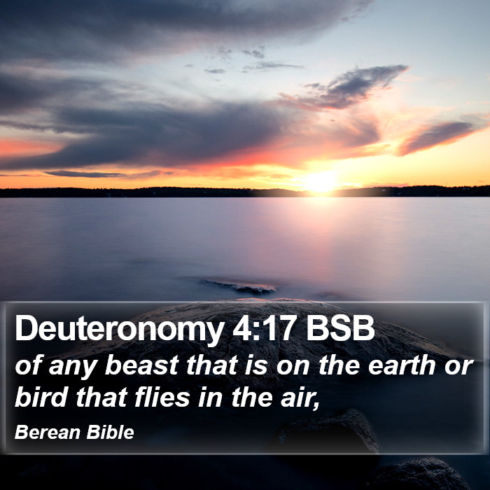 Deuteronomy 4:17 BSB Bible Study