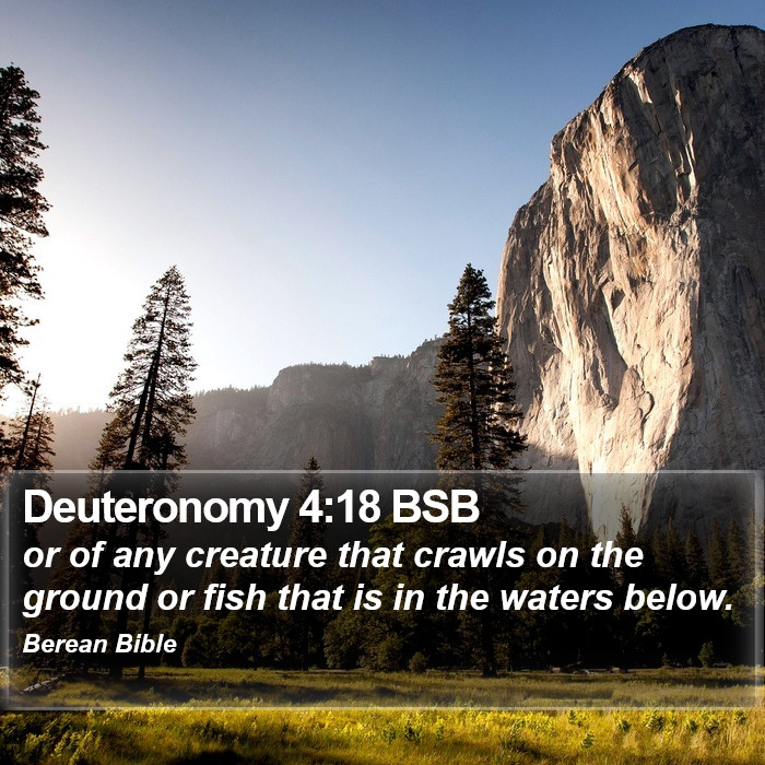 Deuteronomy 4:18 BSB Bible Study