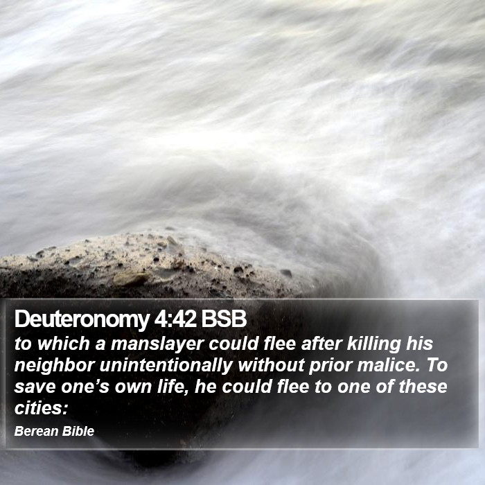 Deuteronomy 4:42 BSB Bible Study