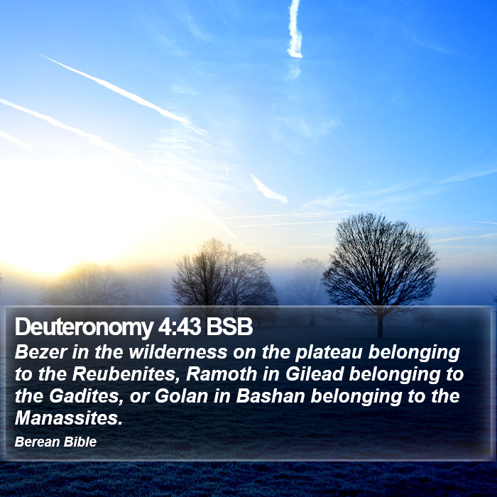 Deuteronomy 4:43 BSB Bible Study