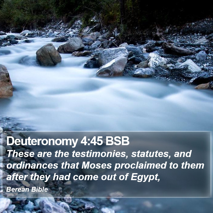 Deuteronomy 4:45 BSB Bible Study