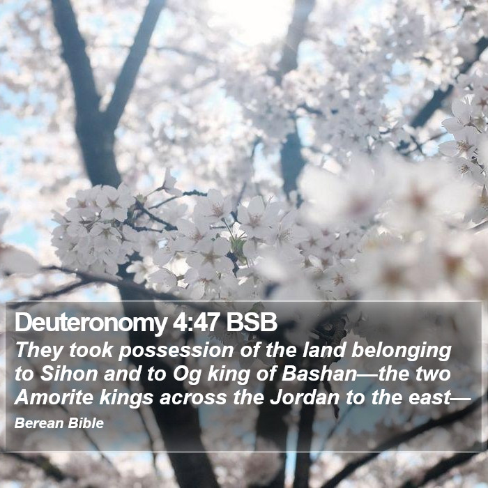 Deuteronomy 4:47 BSB Bible Study