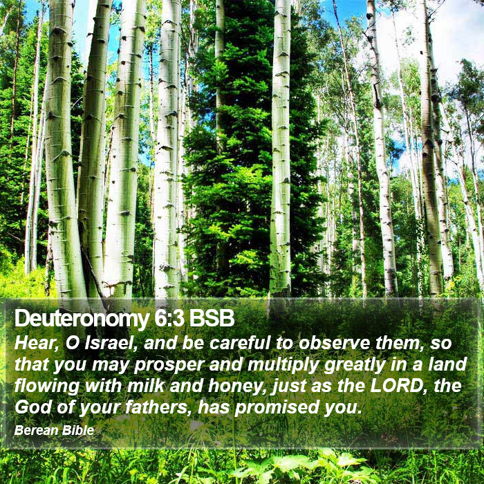 Deuteronomy 6:3 BSB Bible Study