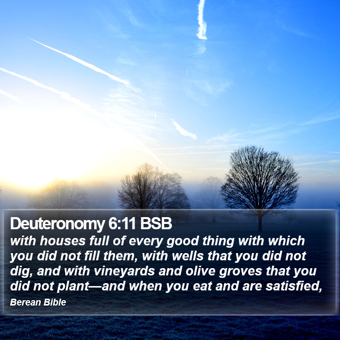 Deuteronomy 6:11 BSB Bible Study