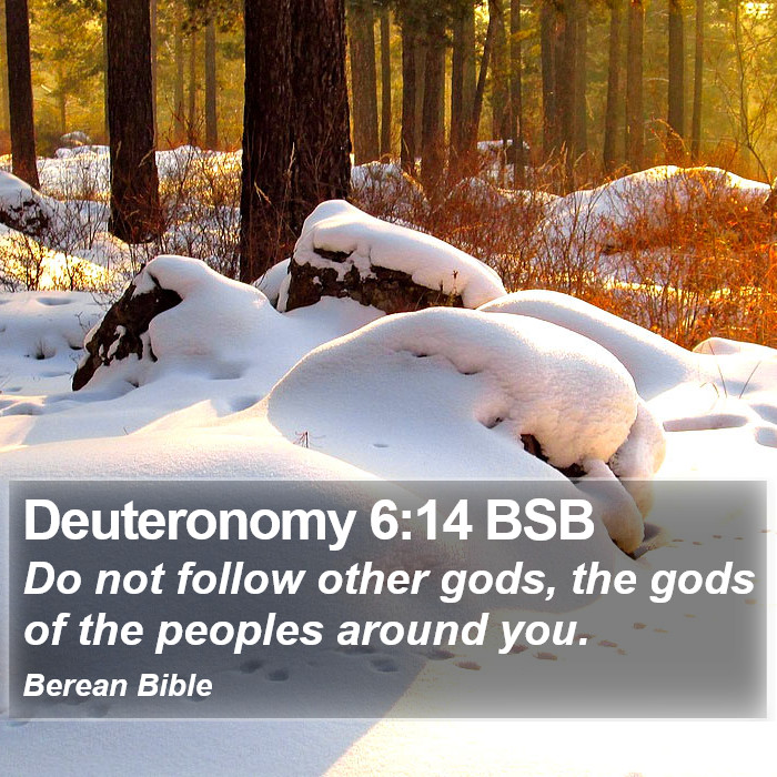 Deuteronomy 6:14 BSB Bible Study